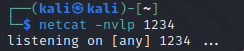 netcat listener