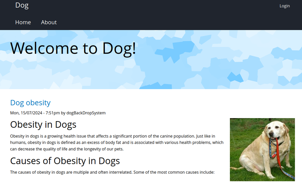 website view
