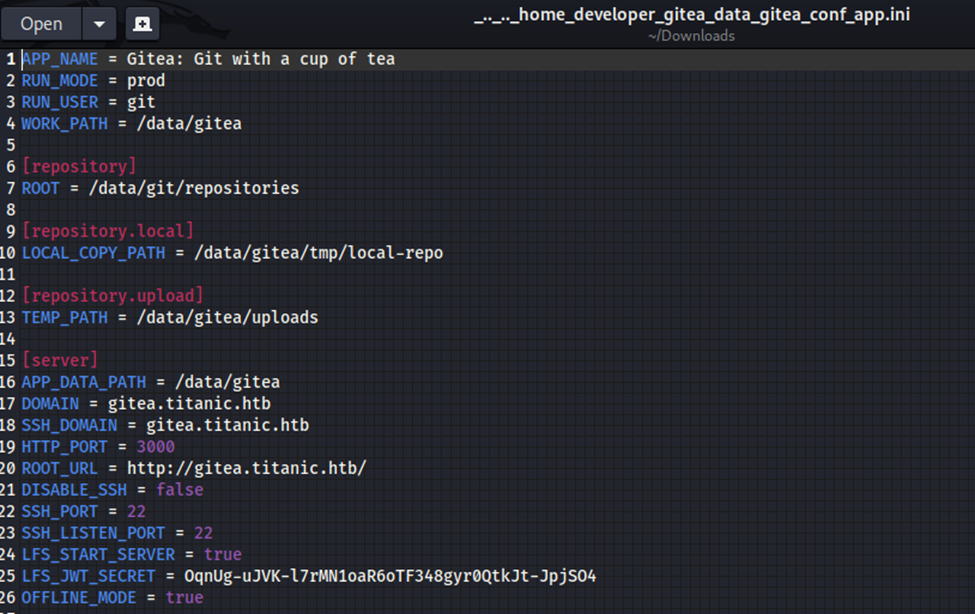 config file view