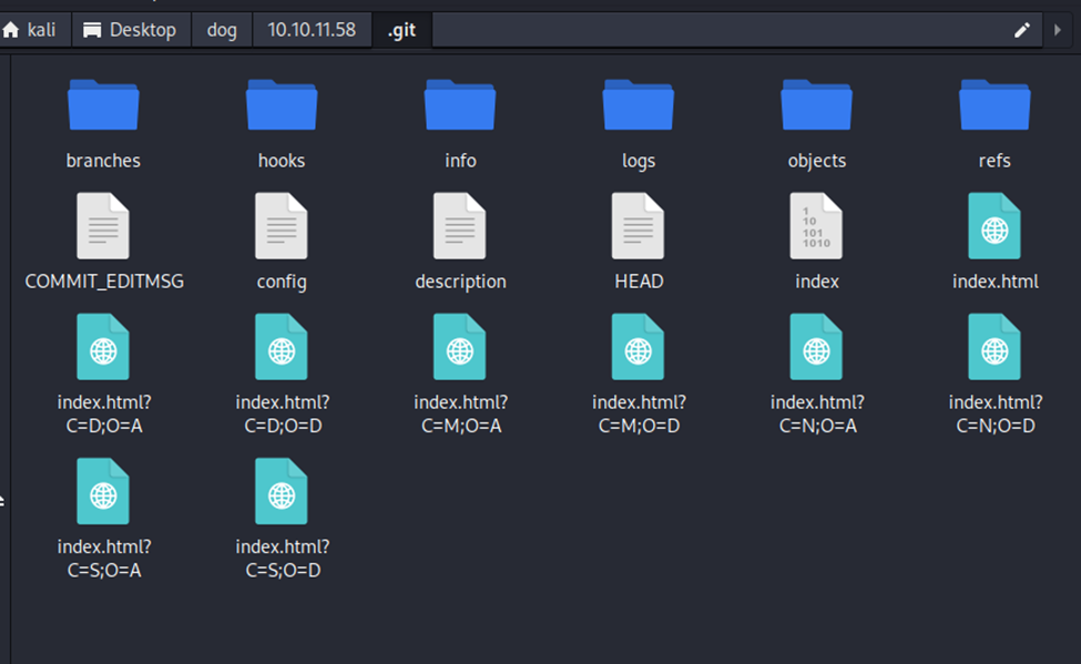Repo files